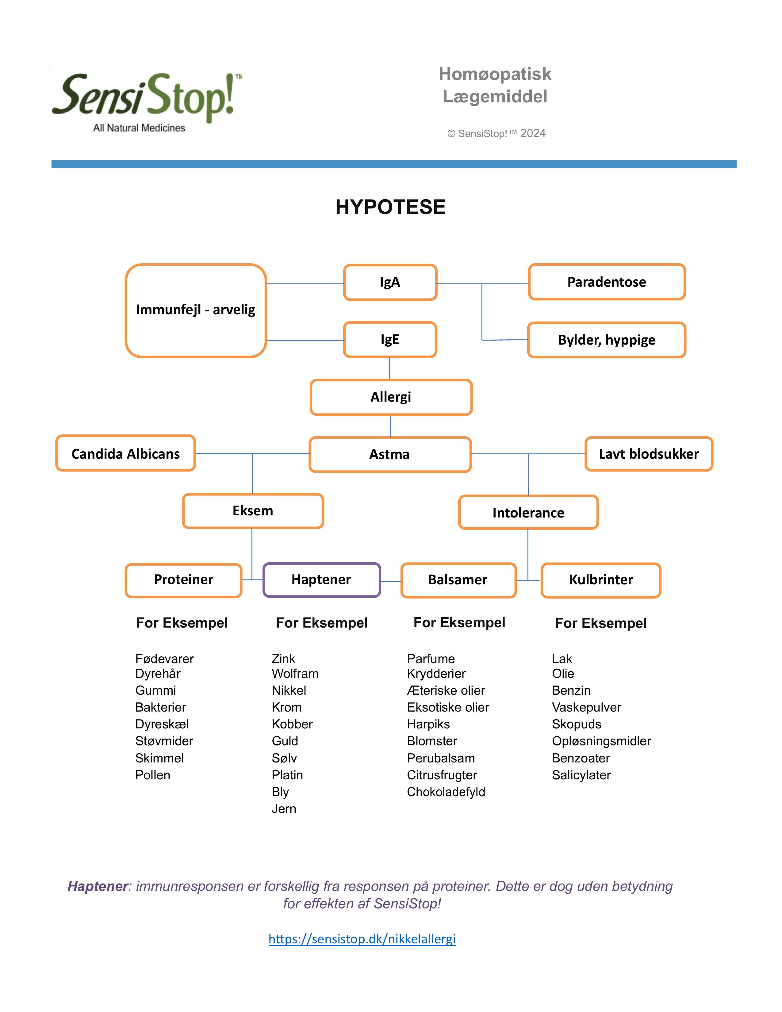 hypotese